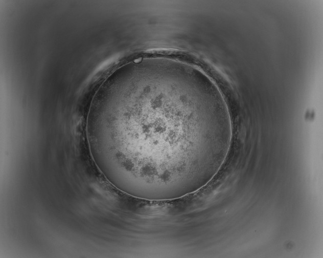 X0000101651351200807101222
