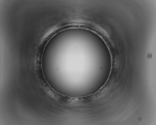X0000101651352200807101222