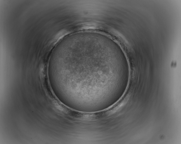 X0000101651353200807101222
