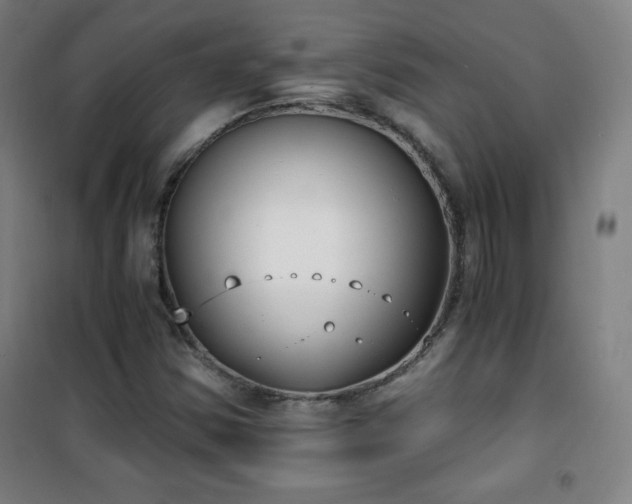 X0000101651354200807101221