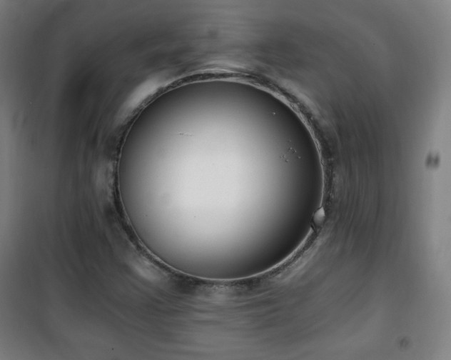 X0000101651355200807101221