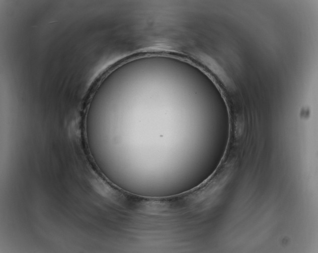 X0000101651356200807101221