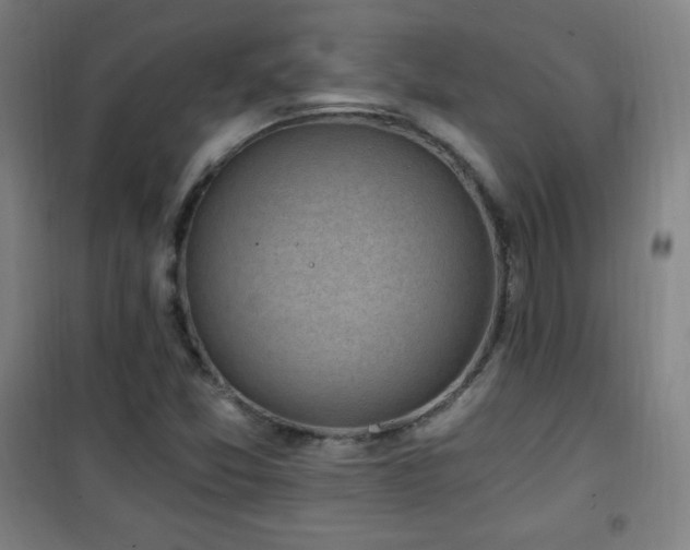 X0000101651357200807101221