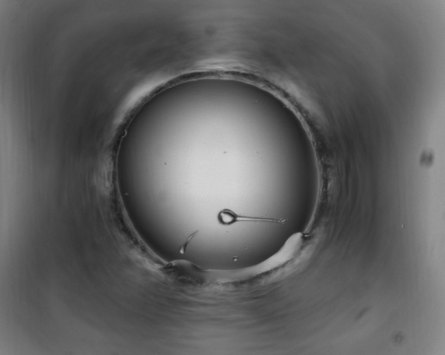 X0000101651358200807101221