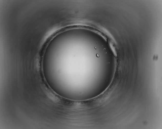 X0000101651360200807101221
