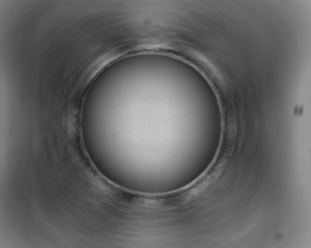 X0000101651361200807101221