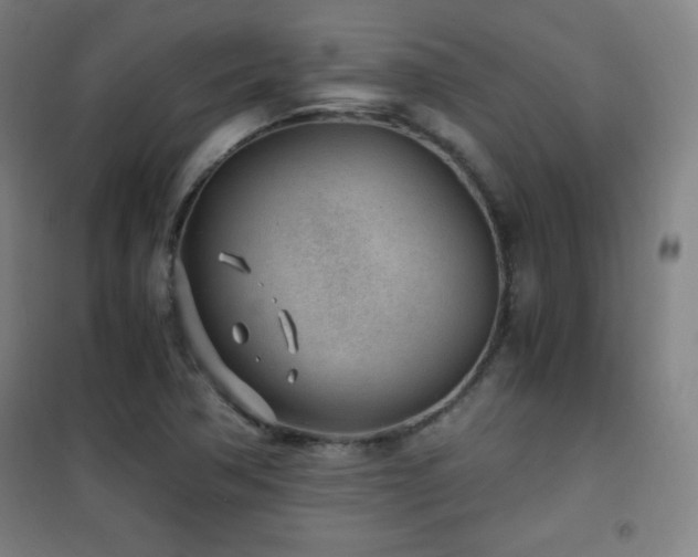 X0000101651362200807101221