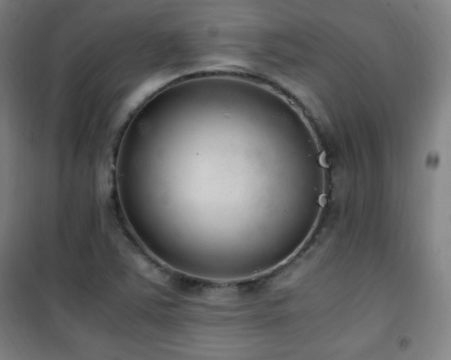 X0000101651363200807101221