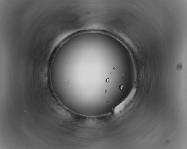 X0000101651364200807101221