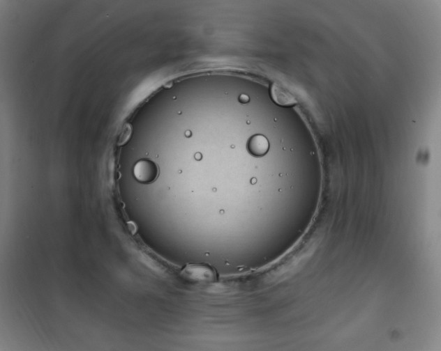 X0000101651365200807101221