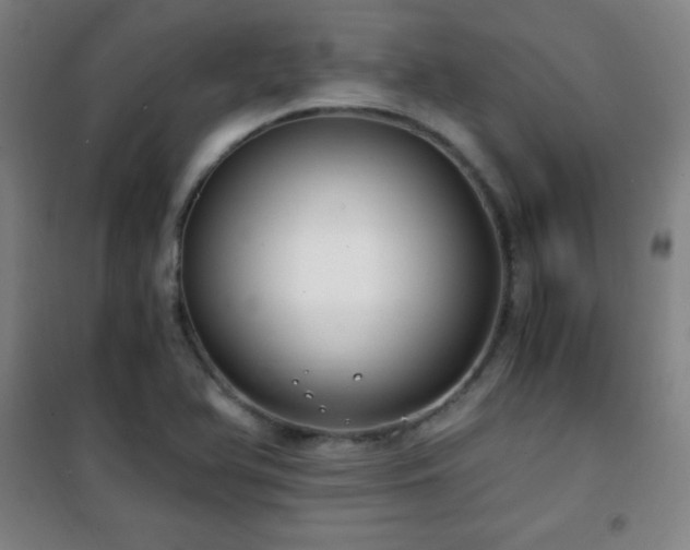 X0000101651366200807101221