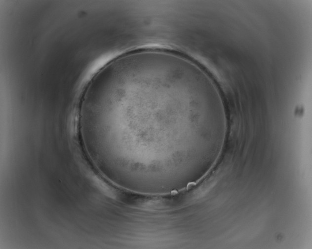 X0000101651367200807101221