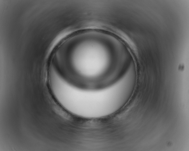 X0000101651368200807101221