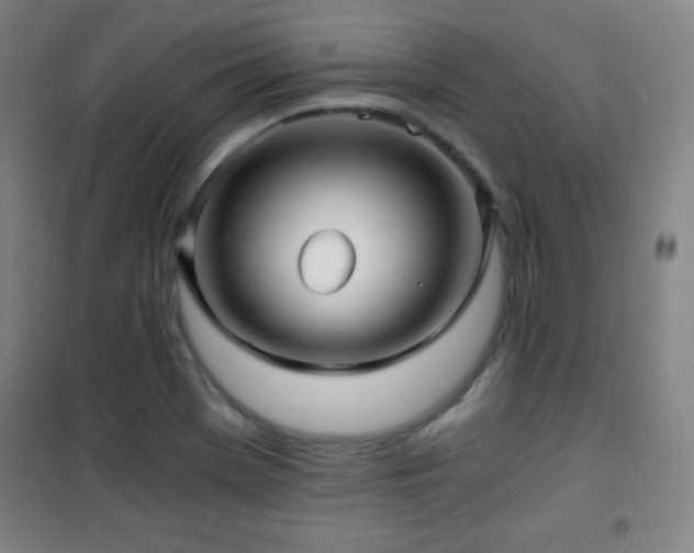 X0000101651369200807101221