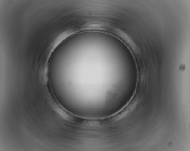 X0000101651370200807101221