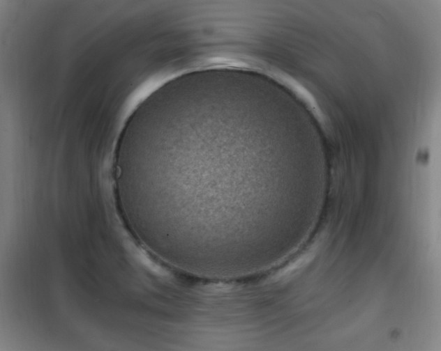 X0000101651373200807101221