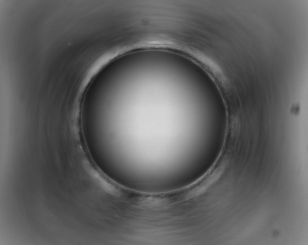 X0000101651374200807101221