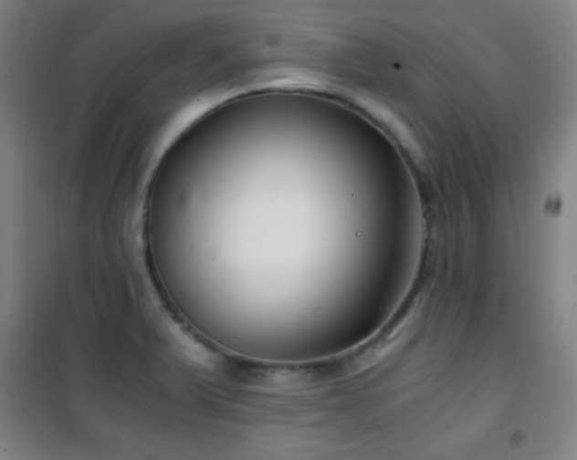 X0000101651375200807101221