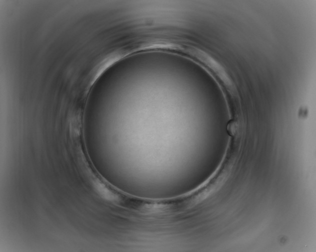 X0000101651377200807101221