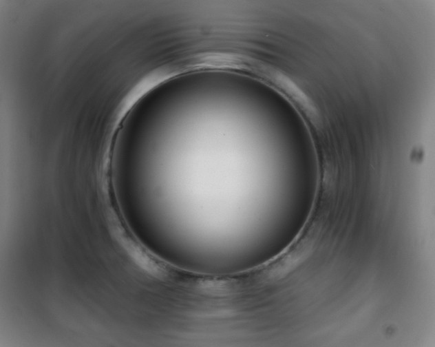 X0000101651378200807101221
