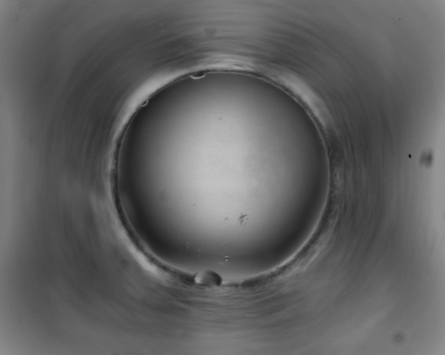 X0000101651379200807101221