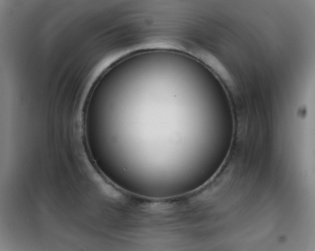 X0000101651380200807101221