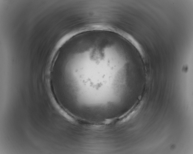 X0000101651381200807101221
