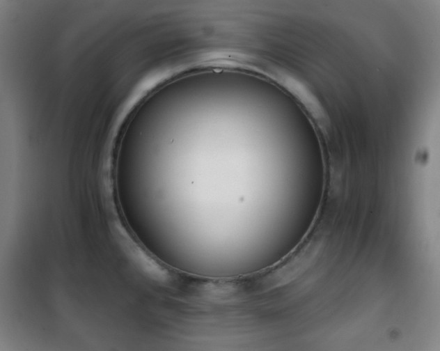 X0000101651384200807101221