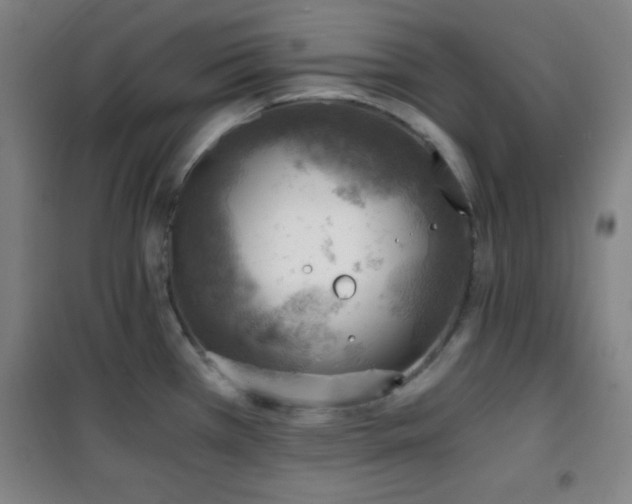 X0000101651385200807101221