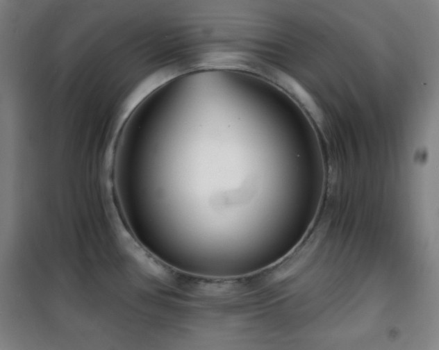 X0000101651386200807101221