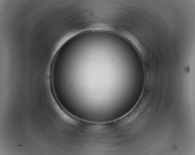 X0000101651387200807101221