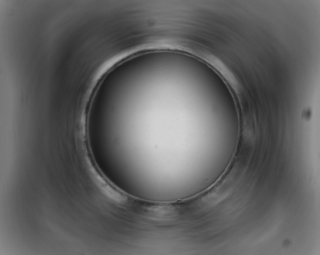 X0000101651388200807101221
