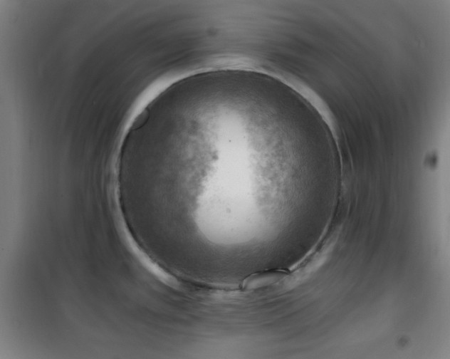 X0000101651389200807101221