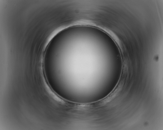 X0000101651390200807101221