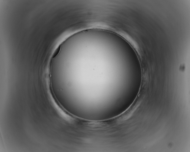 X0000101651391200807101221