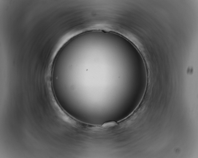 X0000101651392200807101221