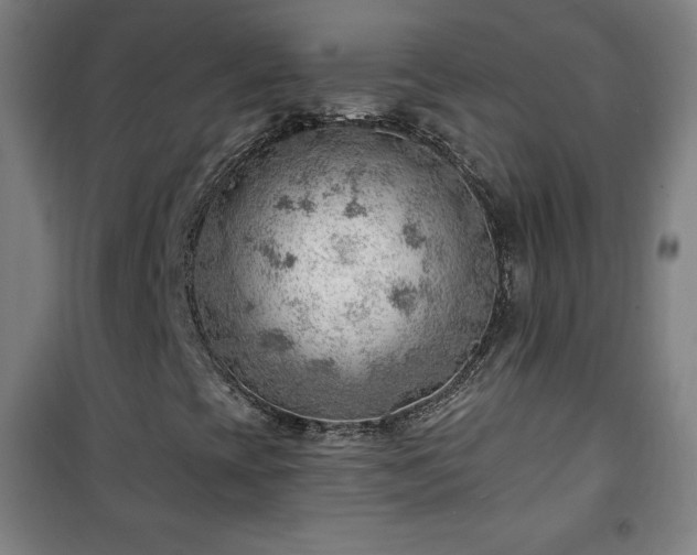 X0000101651393200807101220