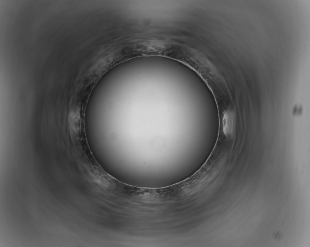 X0000101651395200807101220