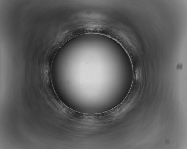 X0000101651396200807101220