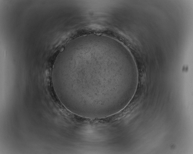 X0000101651397200807101220