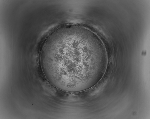 X0000101651398200807101220