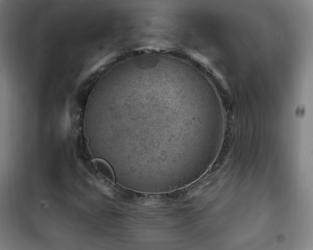 X0000101651399200807101220
