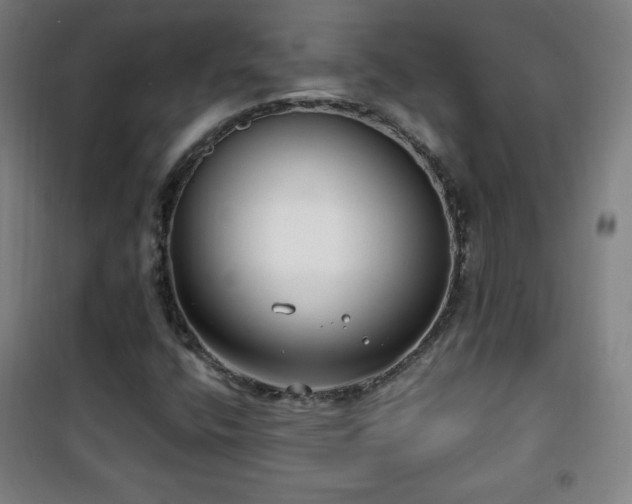 X0000101651400200807101220