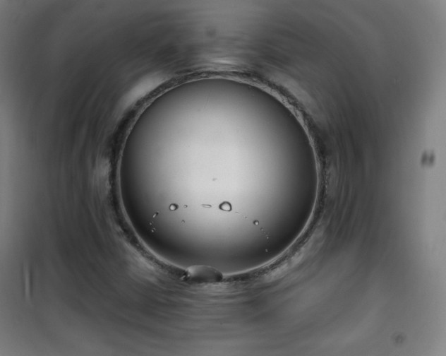 X0000101651402200807101220