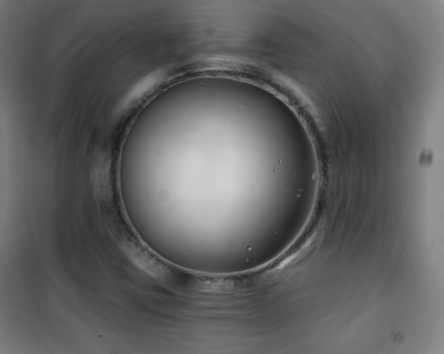 X0000101651403200807101220