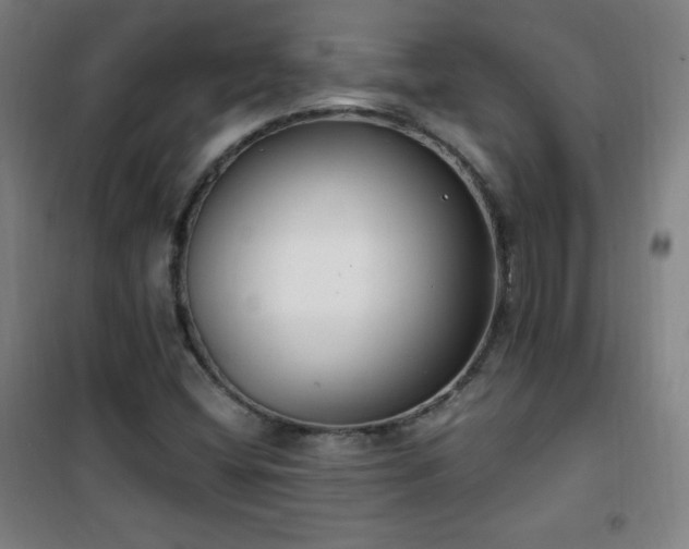 X0000101651404200807101220