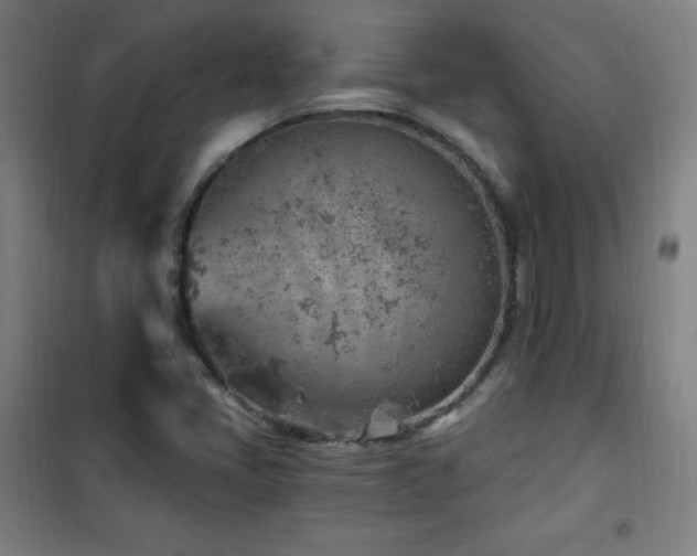 X0000101651405200807101220
