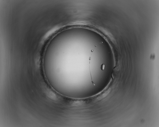 X0000101651406200807101220