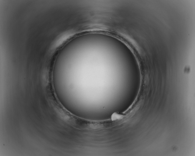 X0000101651407200807101220