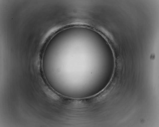 X0000101651408200807101220